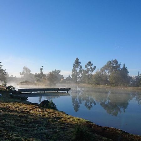 Cabanas Tapalpa Sierra Del Tecuan, Cabana Lince エクステリア 写真