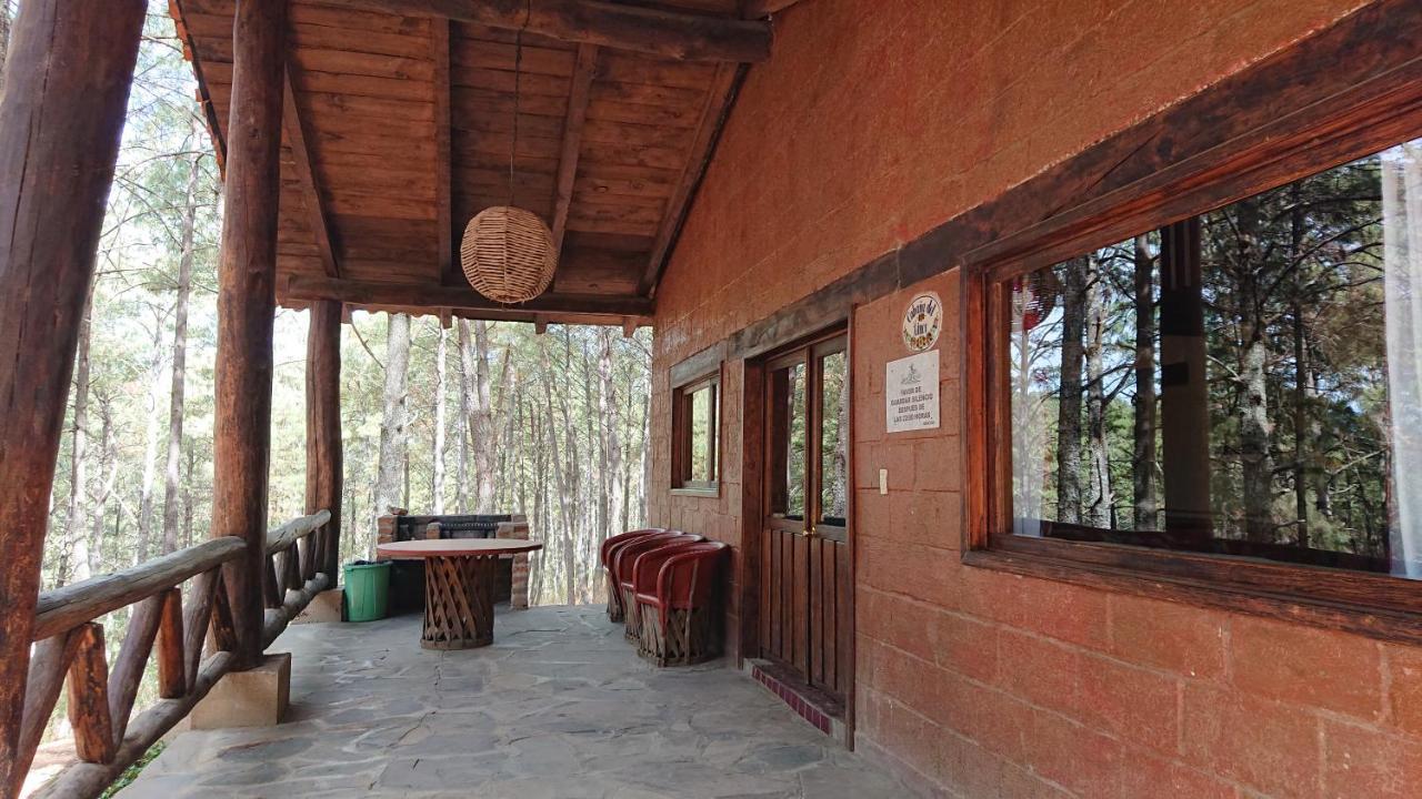 Cabanas Tapalpa Sierra Del Tecuan, Cabana Lince エクステリア 写真