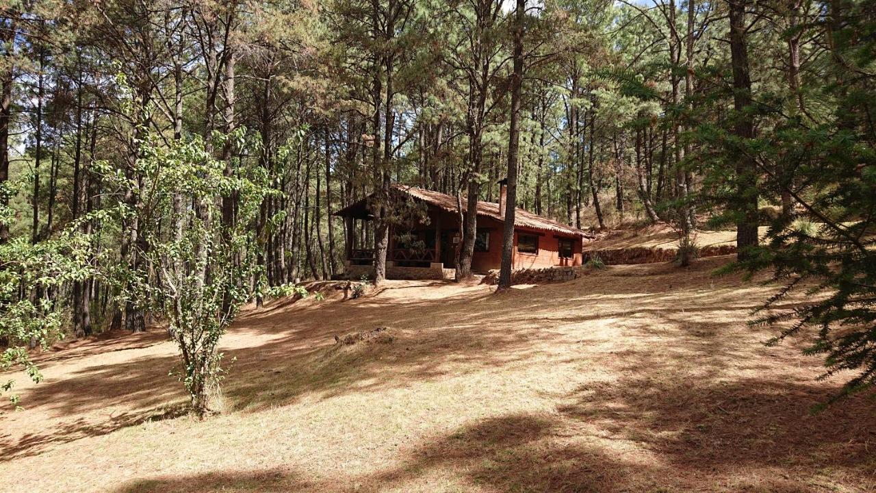 Cabanas Tapalpa Sierra Del Tecuan, Cabana Lince エクステリア 写真